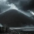 100012202 1741883544